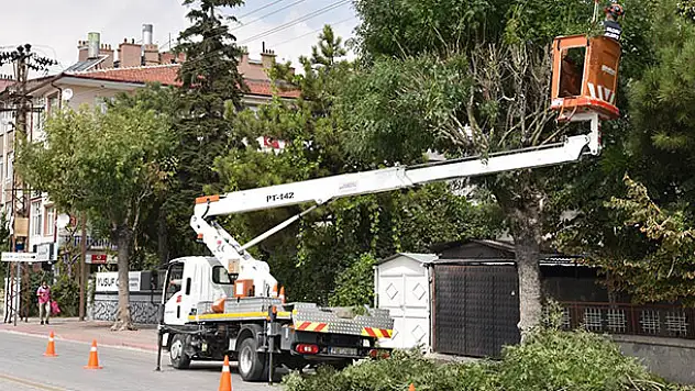 Selçuklu'da ağaç budama çalışmaları sürüyor