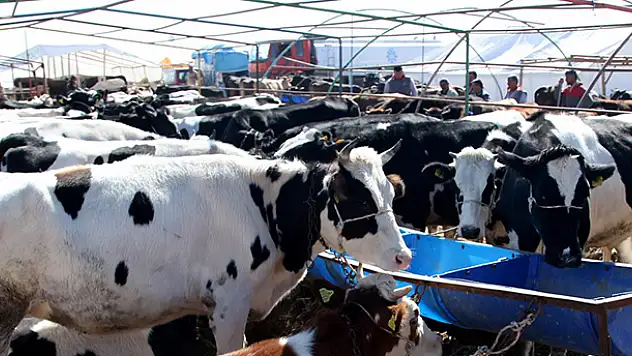 Selçuklu'da kurban satış ve kesim yerleri belli oldu