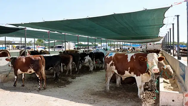 Selçuklu'da kurban satış ve kesim yerleri belirlendi  