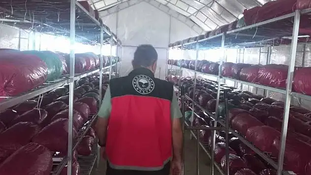 Selçuklu'da mantar işletmeleri denetlendi