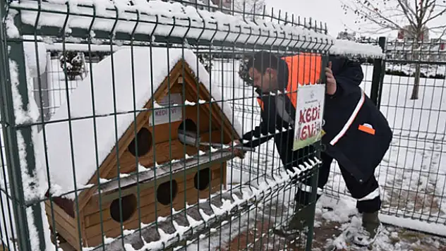 Selçuklu'da sokak hayvanları soğuk havalarda daha sık besleniyor