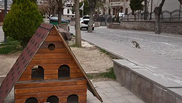 Selçuklu'da sokak hayvanları unutulmuyor