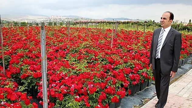 Selçuklu'ya 250 Bin Gül Dikiliyor
