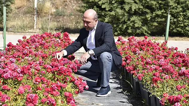 Selçuklu yeşil dokuya fidanlığıyla katkı sağlıyor
