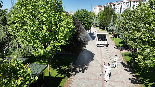 Selçuklu'da haşere ilaçlaması sürüyor
