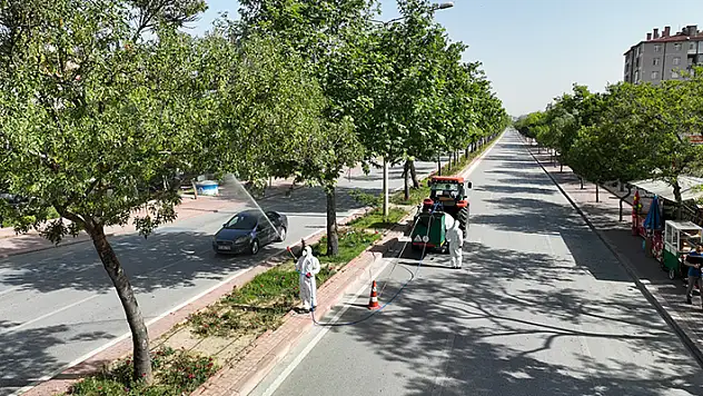 Selçuklu'da haşere ile mücadele sürüyor
