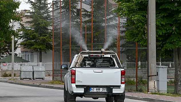 Selçuklu'da ilaçlama çalışmalar başladı