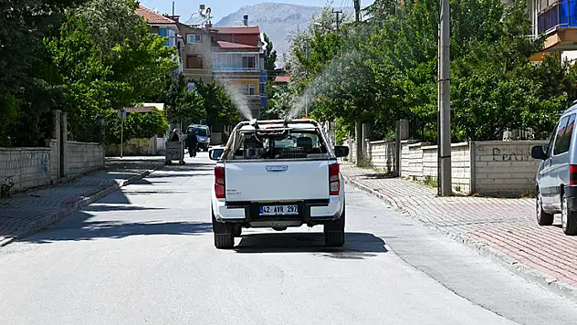 Selçuklu'da ilaçlama çalışmaları başladı