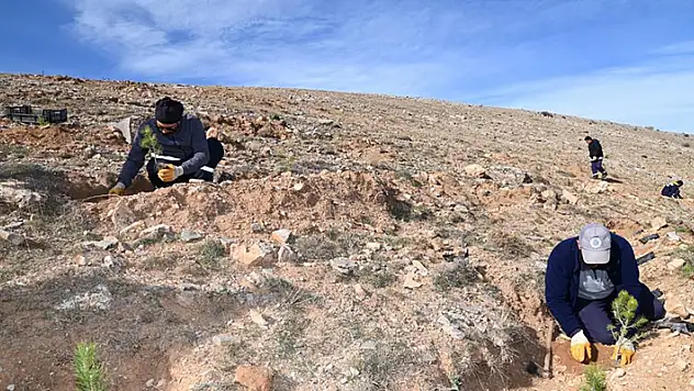 Selçuklu'da yeşil dokuya 22 bin 500 yeni fidan daha kazandırıldı
