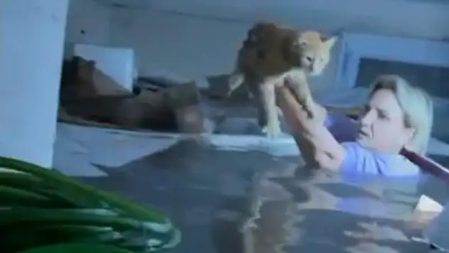 Selde kendi hayatını hiçe saydı, su dolu bodrumda mahsur kalan kediyi kurtardı
