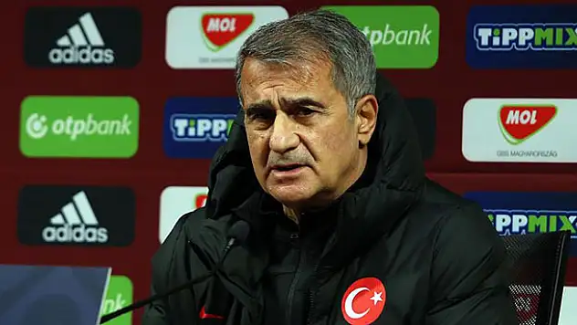Şenol Güneş: Oyun kalitemizi sahaya yansıtamadık