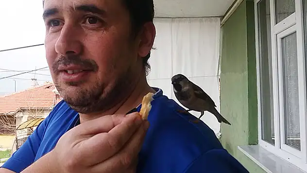 Serçenin Konyalı aileyle kurduğu dostluk gülümsetti