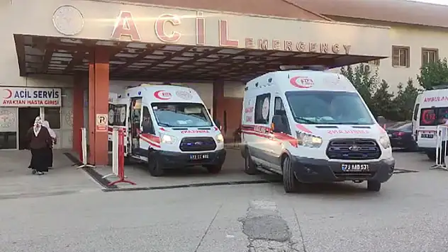 Serdar, arazide bulup eve getirdiği cismin patlamasıyla öldü, annesi yaralandı