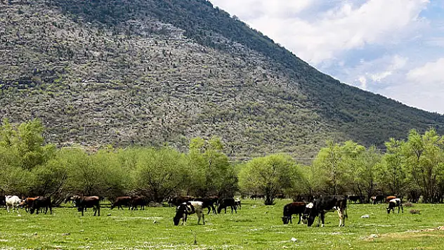 Seydişehir-Antalya yolunda ilkbahar görüntüleri büyülüyor