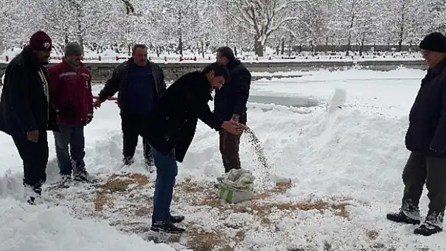 Seydişehir Belediyesi kuşlar için doğaya yem bıraktı