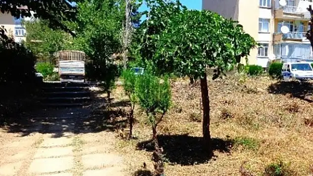 Seydişehir Belediyesi'nden İzinsiz Ağaç Kesenlere Ceza
