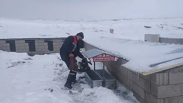 Seydişehir Belediyesi, sokak hayvanları için doğaya yem bıraktı