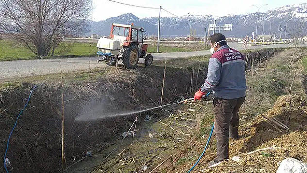 Seydişehir Belediyesinden larva mücadelesi