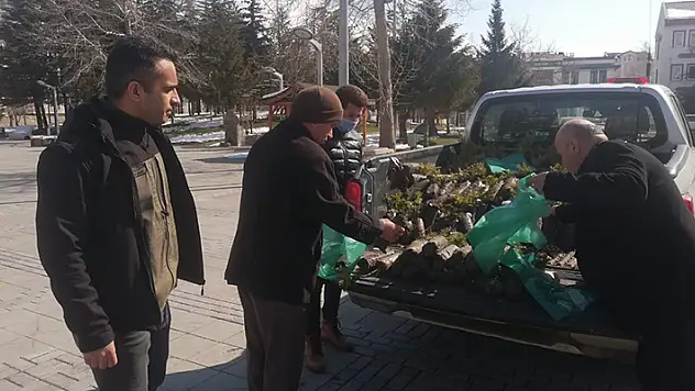 Seydişehir'de 3 bin karaçam ve sedir fidanı dağıtıldı
