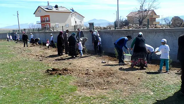 Seydişehir'de 300 sedir ve çam fidanı dikildi