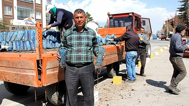 Seydişehir'de 5 bin ceviz fidan dağıtıldı