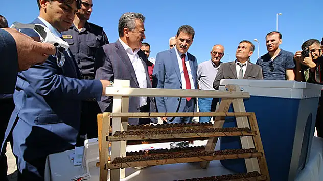 Seydişehir'de 8 kilogram 463 gram arı sütü üretildi