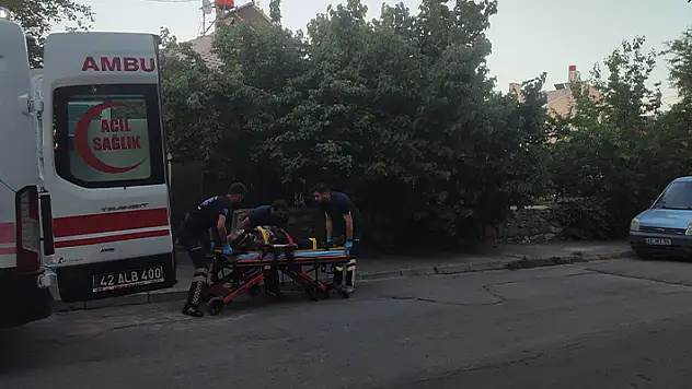 Seydişehir'de ağaçtan düşen kadın yaralandı

