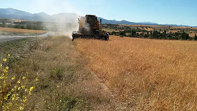 Seydişehir'de buğday hasadı başladı