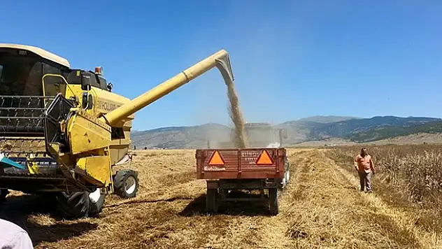 Seydişehir'de buğday hasadı tamamlandı