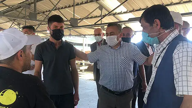 Seydişehir'de canlı hayvan pazarı açıldı