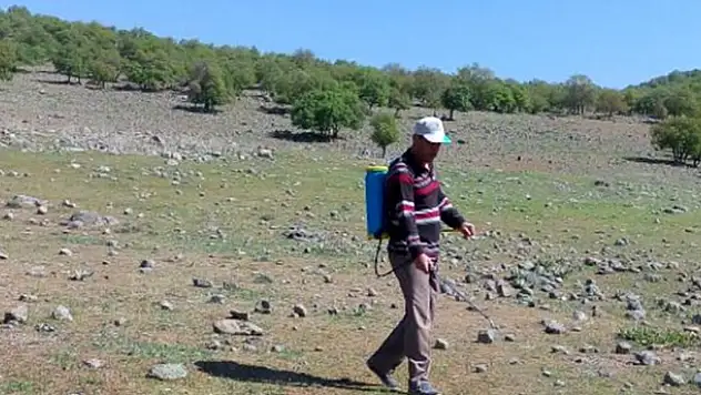 Seydişehir'de çekirge ile mücadele çalışmaları