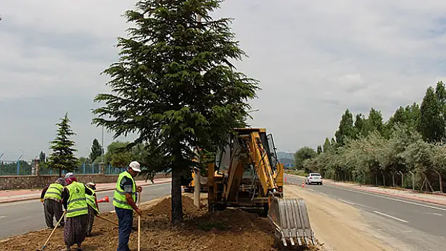 Seydişehir'de damlama sulama hattı yenileme ve çimlendirme çalışması