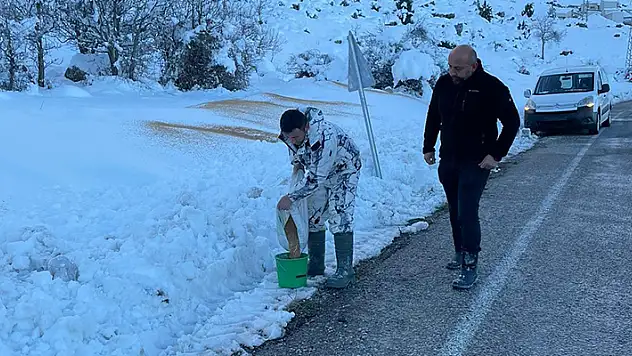 Seydişehir'de doğaseverler kuşlara yem bıraktı

