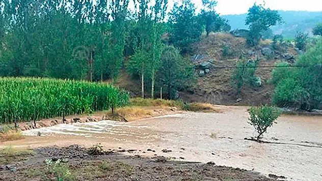 Seydişehir'de geçen hafta etkili olan sağanak patates üreticisini vurdu