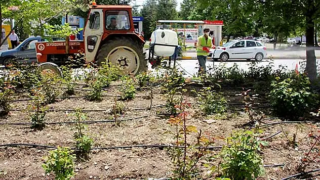 Seydişehir'de ilaçlama çalışmaları