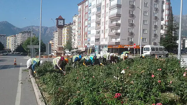 Seydişehir'de kavşak ve refüjler renkleniyor