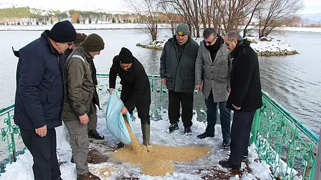 Seydişehir'de kuşlar ve yaban hayvanlarına yem bırakıldı