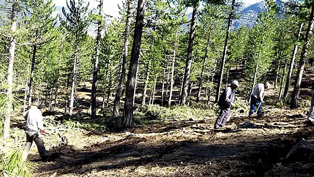 Seydişehir'de orman alanları genişletiliyor