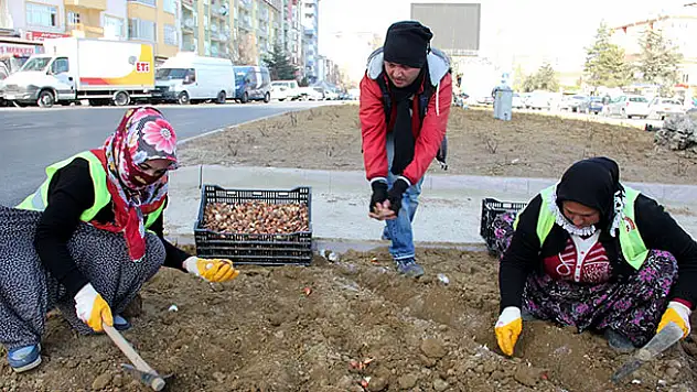 Seydişehir'de peyzaj çalışması