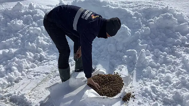 Seydişehir'de sokak hayvanları için doğaya hazır mama bırakıldı
