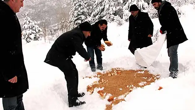 Seydişehir'de yaban hayvanları için doğaya yem bırakıldı