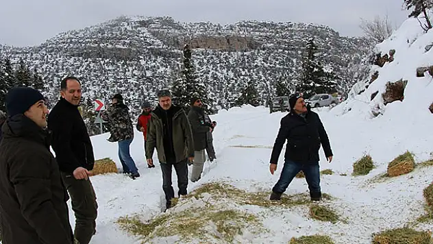 Seydişehir'de yaban hayvanları için doğaya yem bırakıldı
