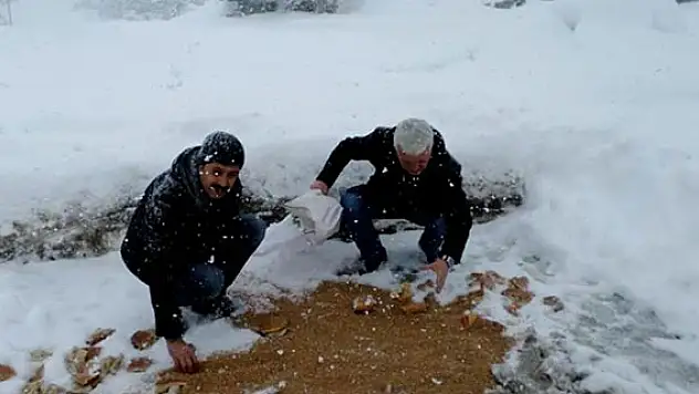 Seydişehir'de yaban hayvanlarına yiyecek bırakıldı