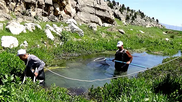 Seydişehir'de 'yağ balığı'nı araştırma çalışmaları devam ediyor