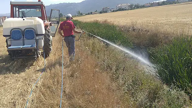 Seydişehir'de yaz aylarında uçkunla mücadele devam ediyor
