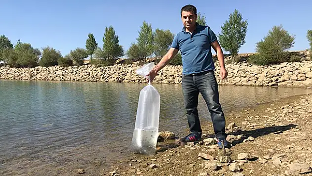 Seydişehir'deki barajlara 35 bin yavru sazan bırakıldı