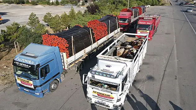 Seydişehir'den Gündoğmuş ve Akseki'deki yangın mağdurlarına yardım