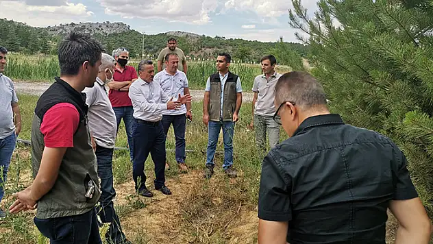 Seydişehir'e modern hayvan barınağı yapılacak
