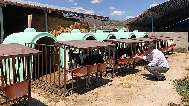 Seydişehir hayvancılık sektöründe gelişecek
