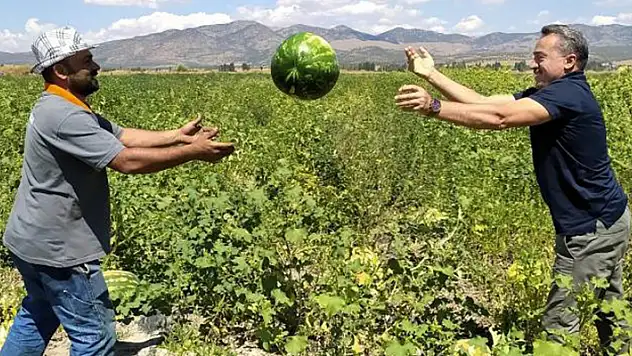 Seydişehir karpuzu ihraç ediliyor

